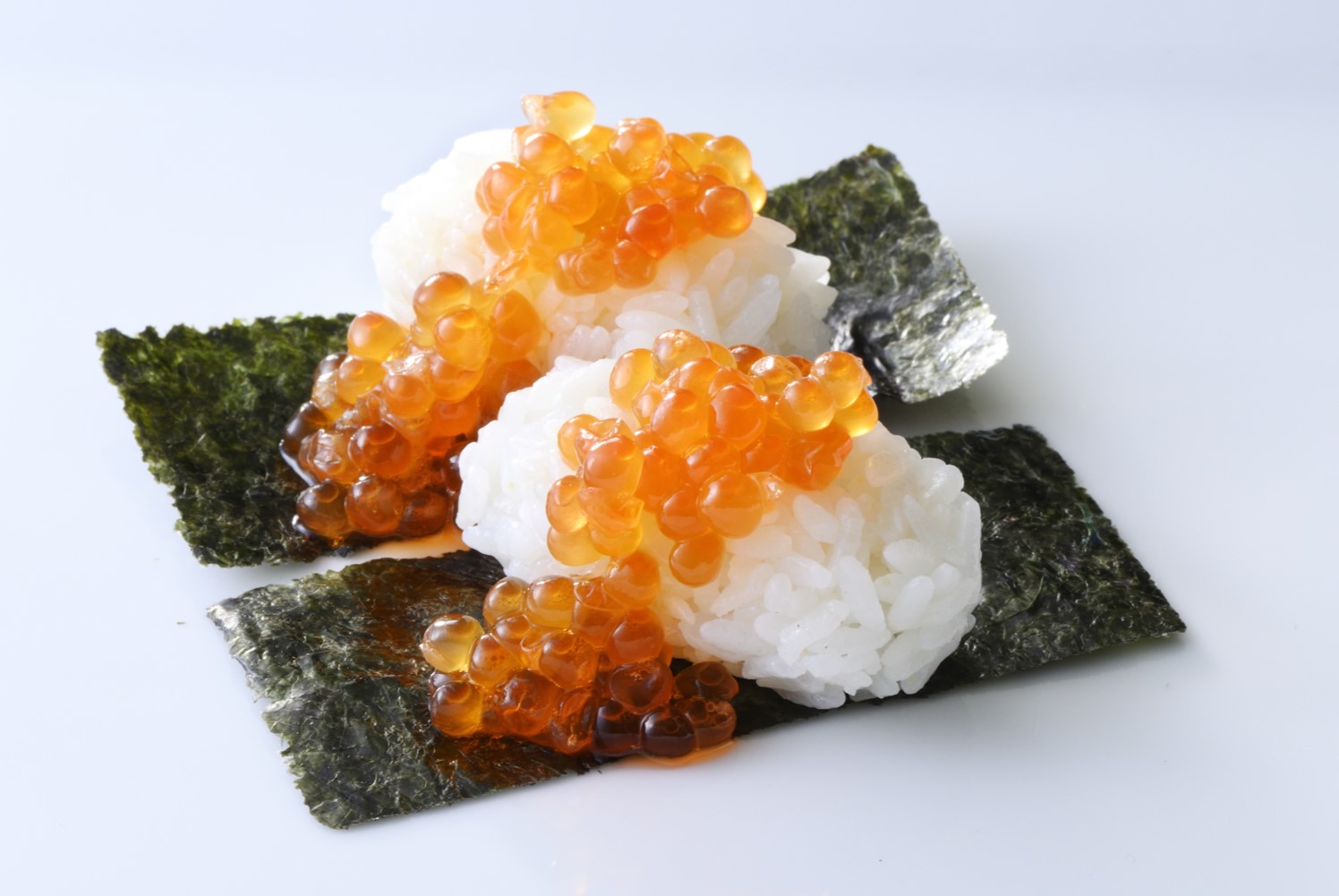 Japanese　-和-
